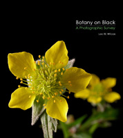 Botany on Black cover