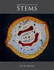 Stems cover